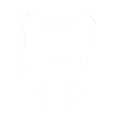 Asylum 13